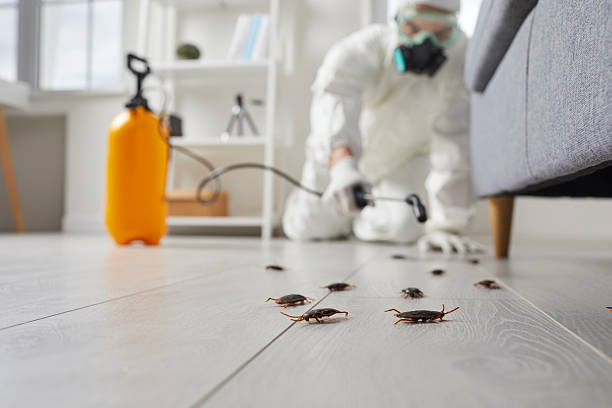 Commercial Kitchen Cockroach Control in West New York